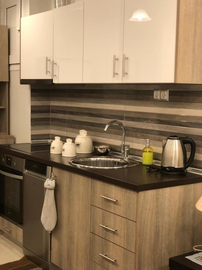 Xenia_Apartments A2 Kozani Zewnętrze zdjęcie